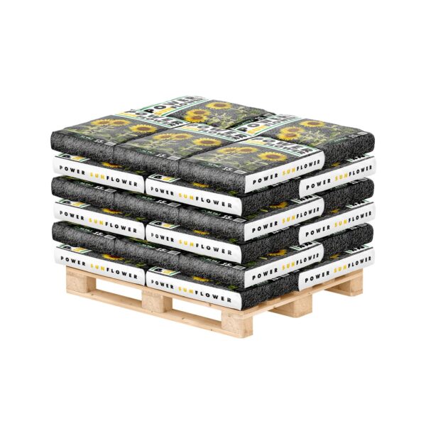 power-sunflower-paleta-1600x1600-1.jpg